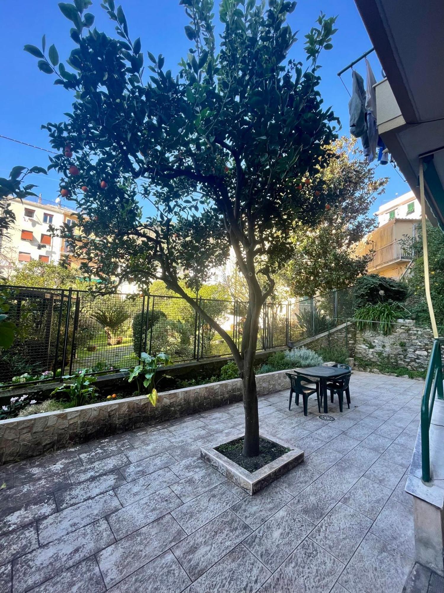 Casa Di Aldo: Una Casa Nel Centro Di Nervi. Генуя Экстерьер фото